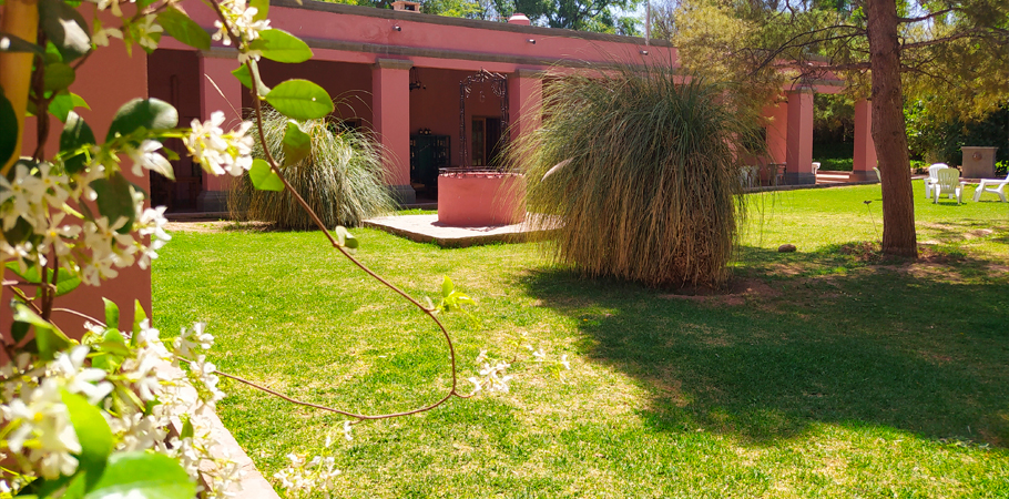 jardín interno de Finca la Sala con césped verde y plantas rodeando el edificio